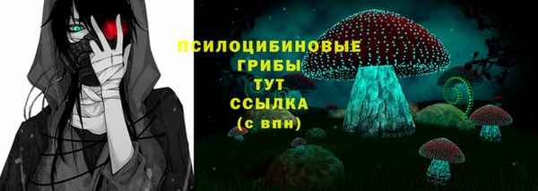 spice Баксан